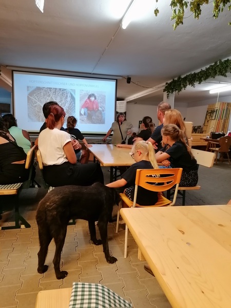 n_3_bild__7_.jpg