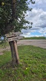 IMG-20250915-WA0006.jpg