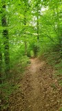 bild06(2).jpg