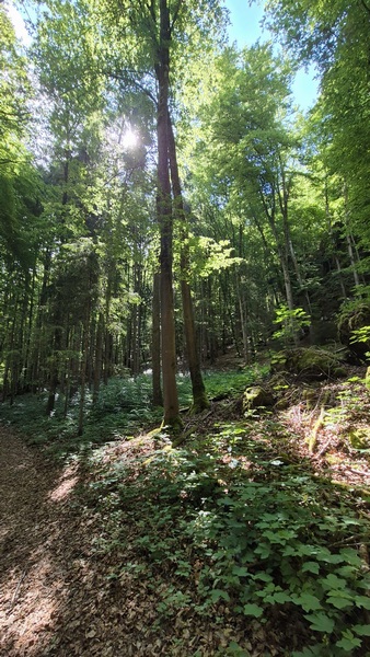 n_bild03.jpg