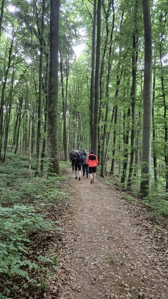 n_bild11.jpg