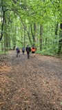 bild29.jpg