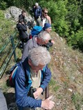 bild32.jpg